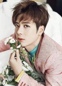 娱乐吃瓜酱王嘉尔,娱乐吃瓜界的“酱王”魅力全解析