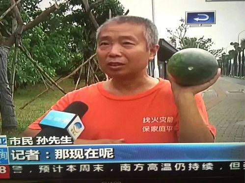 娱乐圈吃瓜群众热点