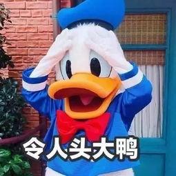 娱乐吃瓜姐买鸭